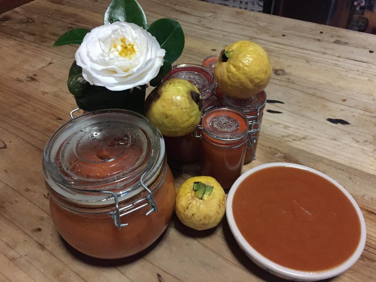 Rabo de Peixe Quinta Minuvida酒店 外观 照片